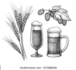 Hops, malt, beer glass and beer mug. Isolated on white background. Hand drawn vector illustration. Retro style.