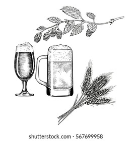 Hops, malt, beer glass and beer mug. Isolated on white background. Hand drawn vector illustration. Retro style.
