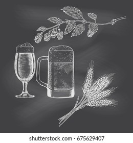 Hops, malt, beer glass and beer mug. Isolated on blackboard. Hand drawn vector illustration. Retro style.