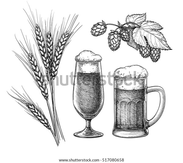 ホップ 麦芽 ビールガラス ビールジョッキ 白い背景に 手描きのベクターイラスト レトロなスタイル のベクター画像素材 ロイヤリティフリー