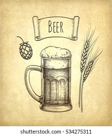 Hops, malt and beer mug on old paper background. Hand drawn vector illustration. Retro style.