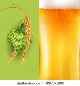 Hops, malt and beer. Vector illustration