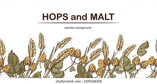 Hops and malt seamless background or repeatable frame lower part for beer brewing and packaging, hand drawn style vector illustration isolated on white background. Vintage beer endless template.