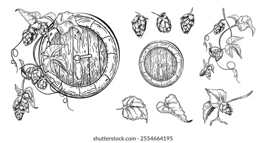 Hops on vine and wooden barrel black white vector graphic illustration isolated. Cones hop, humulus plants, leaves, beer barrel monochrome painted set for packaging, beer festival, label, menu