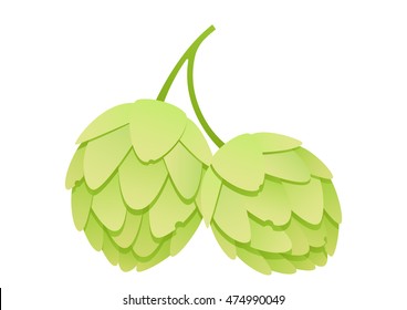 hops on a white background isolated object