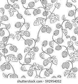 Hops plant graphic black white sketch seamless pattern illustration vector