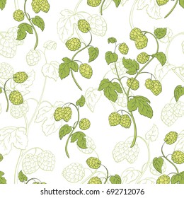 Hops plant graphic color sketch seamless pattern illustration vector