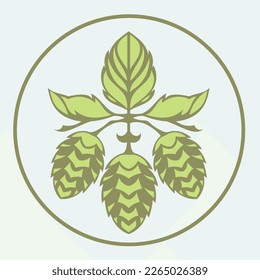 Hops plant and hop leaves isolated on blue background