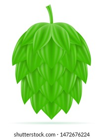 hops ripe and green beer preparation ingredient vector illustration isolated on white background