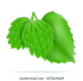 hops ripe and green beer preparation ingredient vector illustration isolated on white background