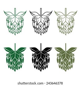 Hops vector design template