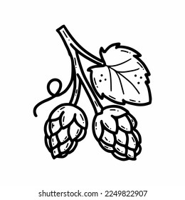 Hops. Vector doodle illustration. Cone. Sketch. Plant for making beer.