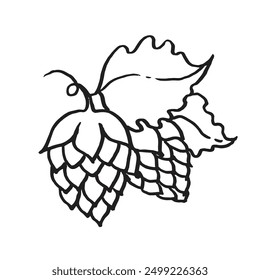 Hops vector icon linear illustration on white