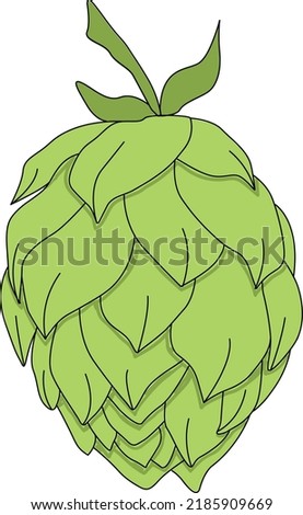 Hops vector, ideal for beer, stout, ale, lager, bitter labels packaging. Hop is a herb plant which is used in the brewery of beer. Organic natural malt ingredient for craft beer alcohol drink 