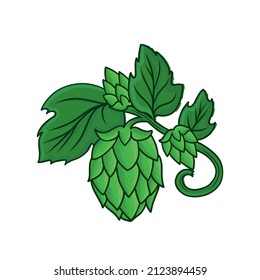 Hops vector set isolated composition. Color Sketch of hop plant, bunch of hops with leaves and hop cones in engraving style. Humulus lupulus icons for packaging, pattern, beer, brewery illustration.