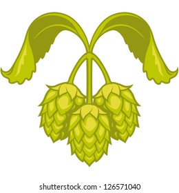 Hops vector visual graphic icon or logo, ideal for beer, stout, ale, lager, bitter labels & packaging  etc.