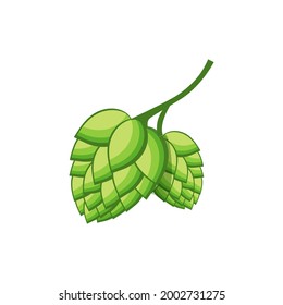 Hops vector visual graphic icon or logo, ideal for beer, stout, ale, lager, bitter labels and packaging