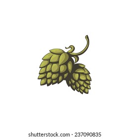 Hops vector visual graphic icon or logo, ideal for beer, stout, ale, lager, bitter labels & packaging etc. Hop is a herb plant which is used in the brewery of beer. Pixel perfect illustration.