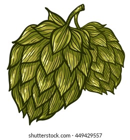 Hops vector visual graphic icons or logos, ideal for beer, stout, lager, bitter labels & packaging. 