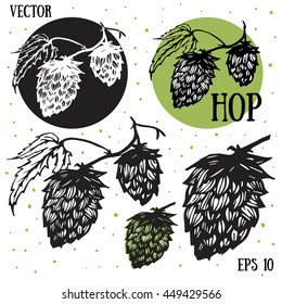 Hops vector visual graphic icons or logos, ideal for beer, stout, lager, bitter labels & packaging. 
