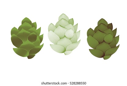 Hops vector visual graphic icons kit or logos. Hop organic herb plant which is used in the brewery of beer. For labels and packaging. Engraved hand drawn illustration. Isolated on white background.