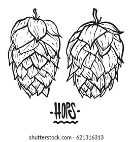 Hops vector visual graphic icons or logos, ideal for beer, stout, lager, bitter labels & packaging. 