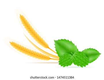 hops and wheat ingredients for making beer vector illustration isolated on white background