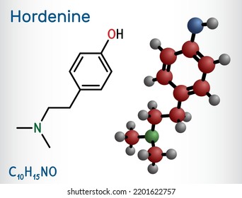 Hordenine, dimethyltyramine class, molecule. It is phenethylamine alkaloid, natural product. Structural chemical formula and molecule model. Vector illustration