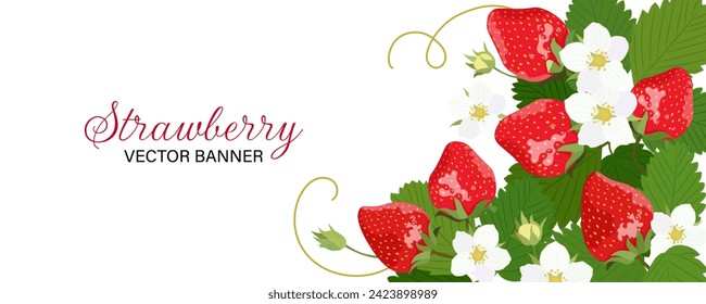 Horisontal banner with strawberry isolated on a white background. Vector illustration.