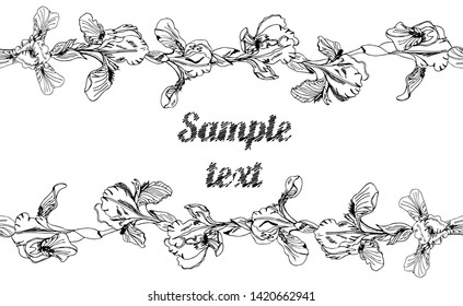 Horisontal template with endless brushes of single buds of iris flowers and place for text. Hand drawn ink sketch. Collection of black elements isolated on white background.