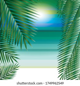Horizon. Sea and sky. Palm leaf