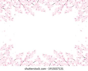 horizonal elegant frame of cherry blossoms