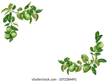 Horizontal A4  Frame with lime and lemon branches in olive green colors on white background for invintations, postcards and others