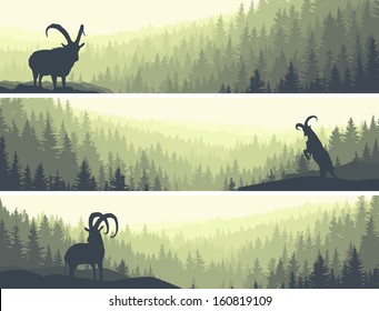 Horizontal abstract banners of hills of coniferous wood with mountain goats in green tone.