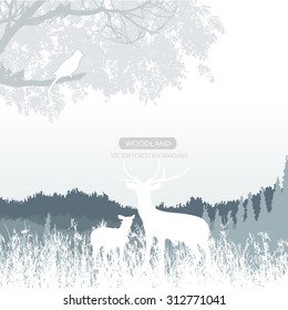 Horizontal abstract banners of wild deer in forest