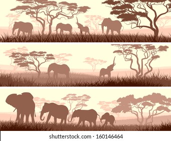 Horizontal abstract banners of wild elephants in African savanna with trees.