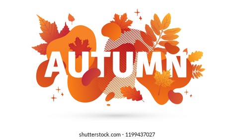 Horizontal abstract geometric design for autumn promotion. Fall offer banner with vector liquid form and decor maple leaf on background. Orange template graphic elements with fluid dynamic shape.