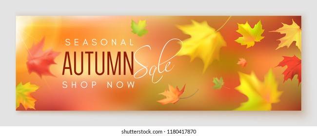Horizontal autumn sale poster with fall leaves. Photorealistic leaves big, small, blurry. Vector illustration
