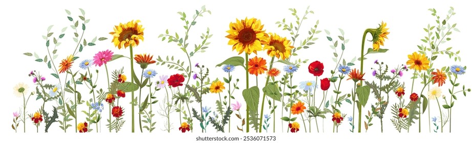 Horizontal autumn's border: marigold, thistles, sunflower, poppy, daisy, small green twigs, red berries on white background. Digital flowers, illustration in watercolor style, panoramic view, vector