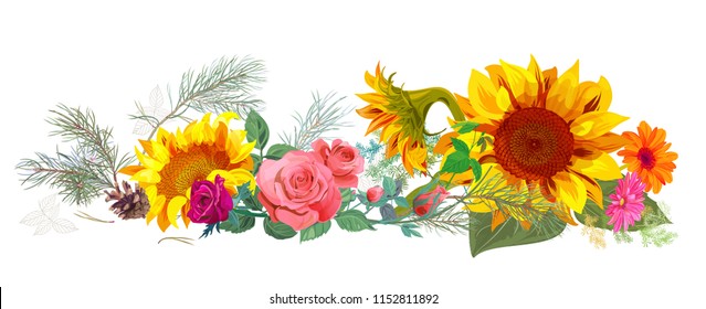 Horizontal autumn's border: sunflowers, pink, red roses, daisy flowers, pine branches, cones on white background. Digital draw, illustration in watercolor style, panoramic view, vector