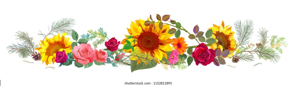 Horizontal autumn's border: sunflowers, pink, red roses, daisy flowers, pine branches, cones on white background. Digital draw, illustration in watercolor style, panoramic view, vector