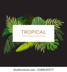 Horizontal background decorated by frame made of exotic palm tree branches, Monstera and banana leaves. Tropical backdrop with foliage of exotic jungle plants. Seasonal realistic vector illustration.