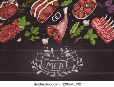 Horizontal background with different color meats in sketch style. Vector illustration for your design