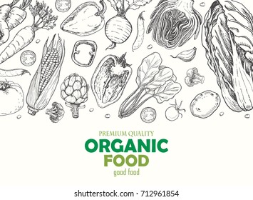 Horizontal background with different vegetables. Organic food. Vector illustration for your design