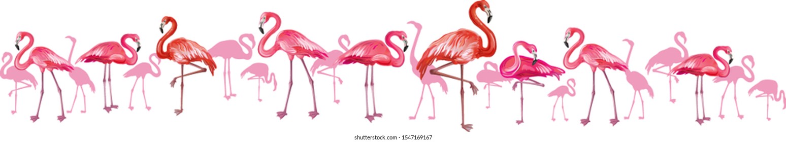 Horizontal background with flamingoes on white background