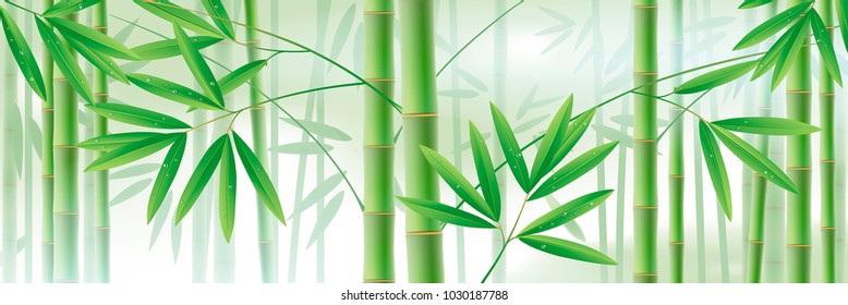 Horizontal background with green bamboo stems and leaves on white. Vector illustration