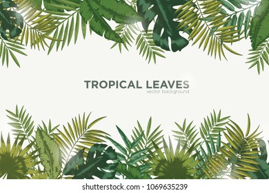 Horizontal background with green leaves of tropical palm tree, banana and monstera. Elegant backdrop decorated with foliage of exotic jungle plants. Natural frame or border. Vector illustration.