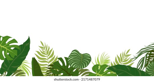 Horizontal background with green leaves of tropical palm tree, banana and monstera. Elegant backdrop decorated with foliage of exotic jungle plants. Natural border. Vector illustration.