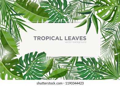 Horizontal background with green tropical leaves of jungle trees. Elegant backdrop decorated with frame made of foliage of exotic plants. Natural seasonal border. Colorful vector illustration.