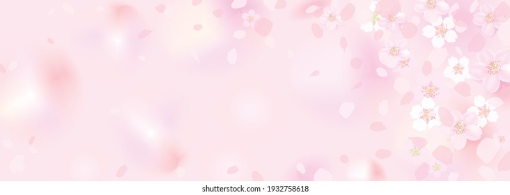 Horizontal background illustration of fluffy, blurry cherry blossoms